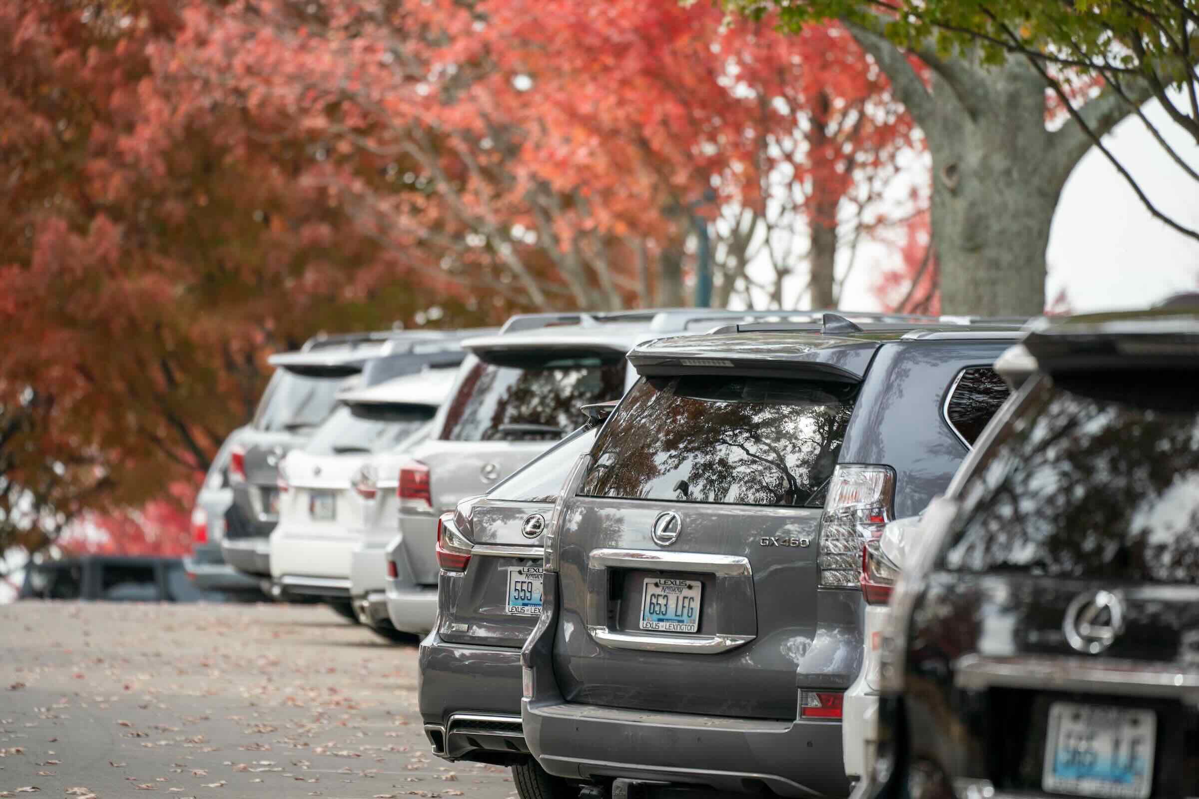 Green Lot