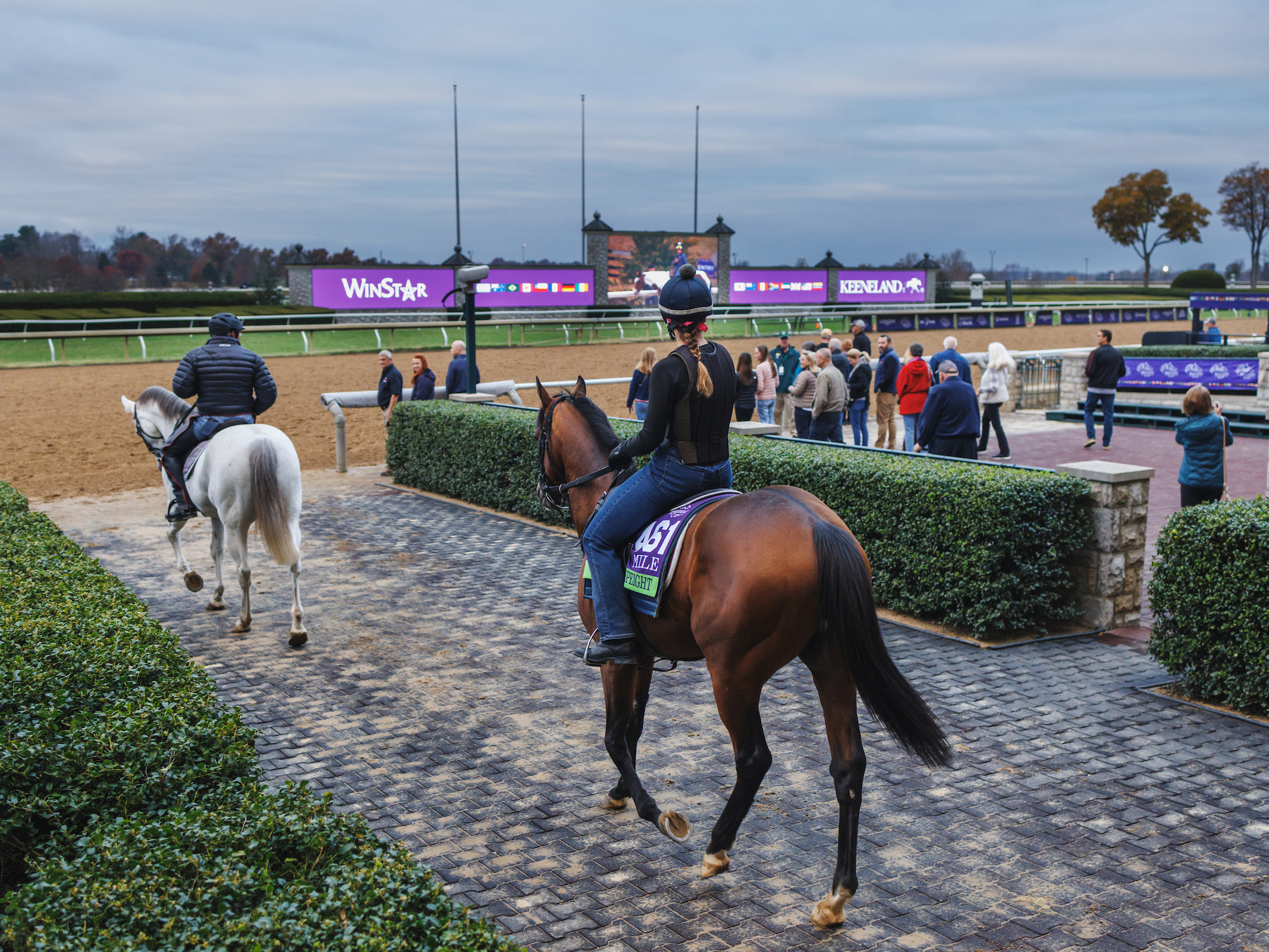 Morning Works Tour: Breeders’ Cup Edition